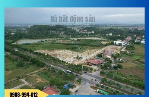 ĐẤT ĐẤU GIÁ Tam Đồng – Mê Linh – Hà Nội, cam kết bán đúng giá chủ thu